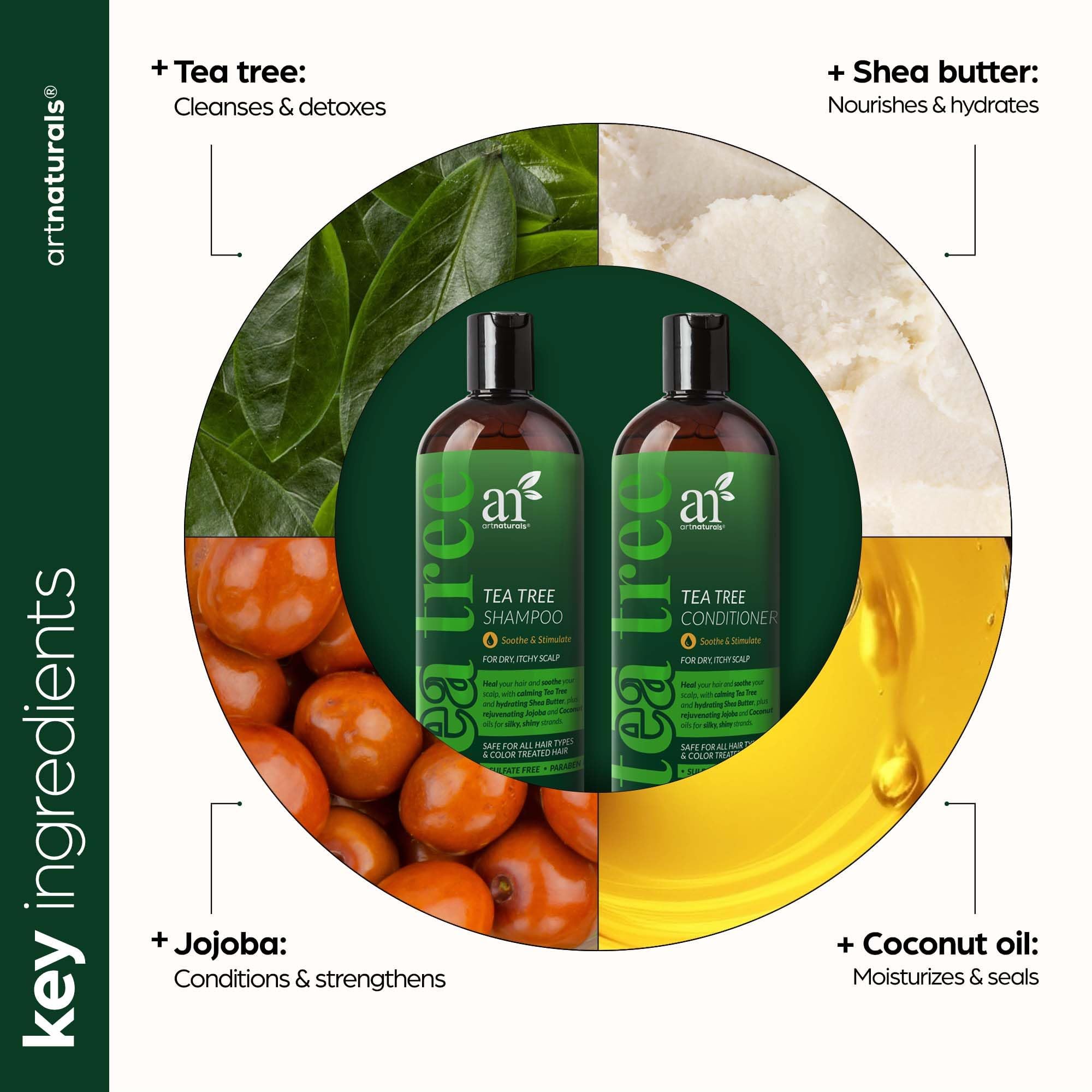 Amazon.com : artnaturals Tea Tree Shampoo and Conditioner Set - (2